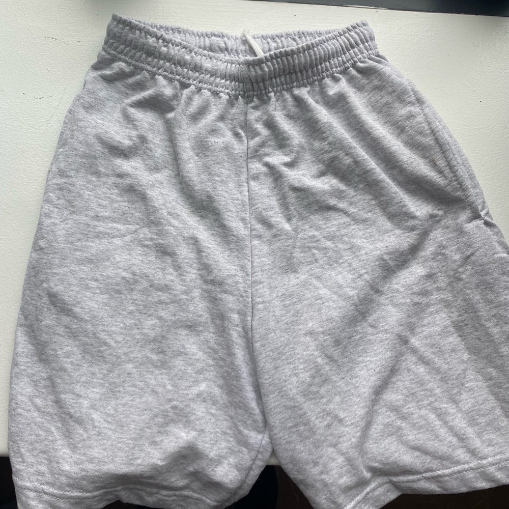 Fruit of the Loom Gray Sweat shorts